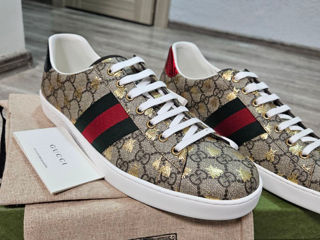 Sneakers gucci (original 100%)