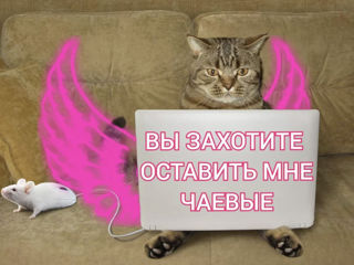 Разработка сложных сайтов - Документы проверены фото 6