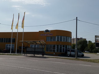COLESO.MD - Auto magazin Hincesti foto 1