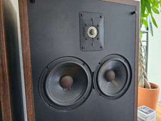 Polk Audio SDA2a  (USA) (56 кг) foto 8
