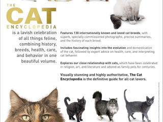 The Cat Encyclopedia: The Definitive Visual Guide (DK Pet Encyclopedias) foto 2