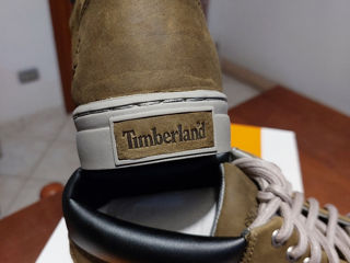 Timberland foto 4