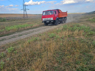 Servicii bobcat   plata cash sau transfer foto 9