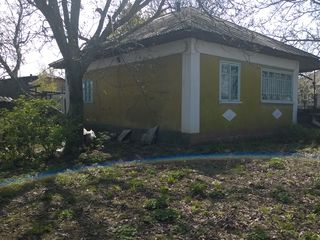 Продаётся дом в пгт Костешты foto 4
