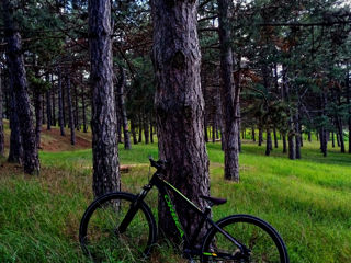 Orbea mx 26 dirt foto 3