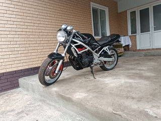 Suzuki Bandit