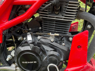 Viper senke 200cc foto 3