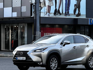 Lexus NX Series