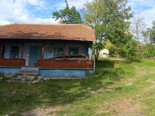 Casa bătrânească la Molovata фото 6