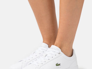 Новые оригинальные кроссовки Lacoste foto 7