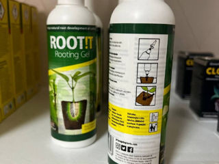 Купить Root!t Clonex, Root!t для клонирование, Gel клонекс foto 2