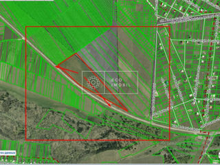 Vânzare, teren agricol, mun. Chișinău, com. Cruzești, 4.88 ha, 366900 euro