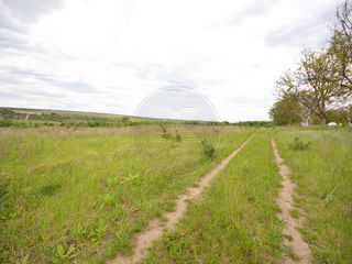Loturi De Teren Agricol In Cumpăr Lot De Teren In In Moldova