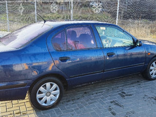 Nissan Primera foto 2