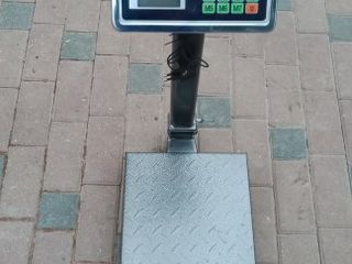 Cintar 200 kg 1000 lei