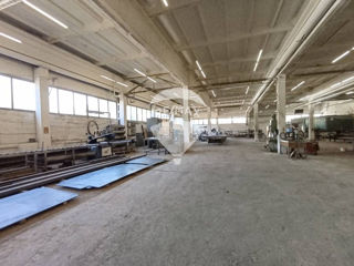 Oportunitate Unică de Investiție în Sectorul Industrial! foto 16