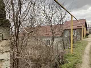 De vinzare teren pentru constructia casei, la traseu, satul Rosu, r-l Cahul foto 6