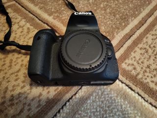 Canon 800d foto 2