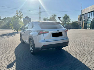 Lexus NX Series foto 4