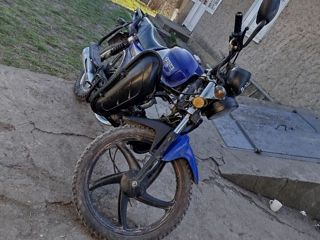 Alpha Moto alpha champ foto 2