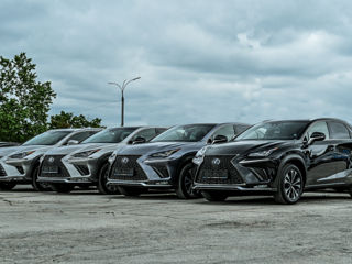 Lexus NX Series