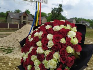 101 trandafiri Tiraspol de la 900  lei! foto 7