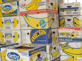 Cutii de banane 5 lei