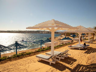 Egypt! Sharm! Grand Oasis Resort 4+! Din 13.09 - 6 nopti! foto 2