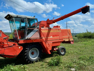 Massey Ferguson 530 foto 5