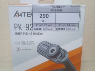 Webcam PK-920H 290 lei