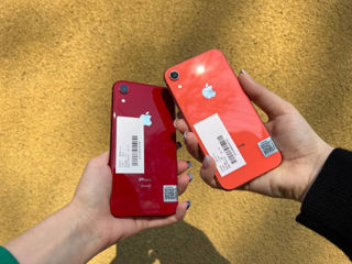 iPhone XR 64 GB, 0% Credit de la 286 lei/lună! Cashback garantat! foto 3