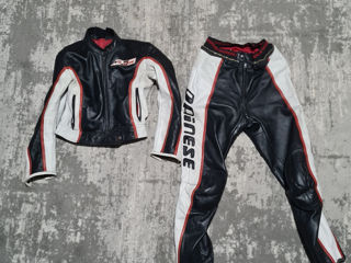 Dainese costum