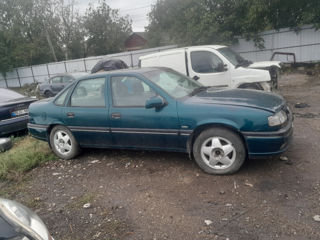 Opel Vectra foto 1