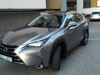 Lexus NX Series foto 10