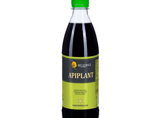 Apiplant 500ml foto 2