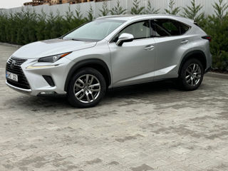 Lexus NX Series foto 8