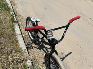 BMX Custom foto 2