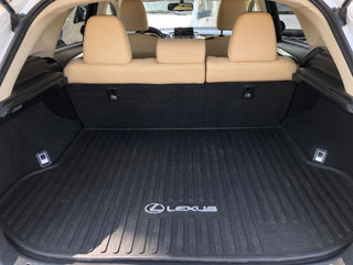 Lexus NX Series foto 18