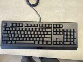 Tastatura Razer gaming foto 4