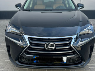 Lexus NX Series