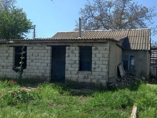 vind casa stefan voda фото 4