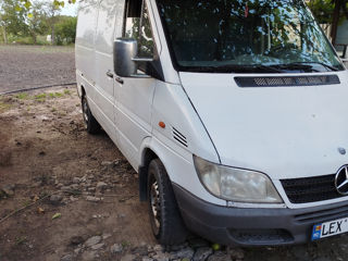 Mercedes Sprinter 313 foto 2