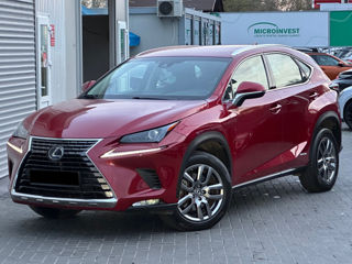 Lexus NX Series