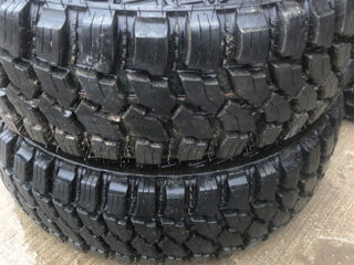 LakeSea Crocodile 265/75 R16 foto 2