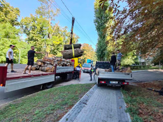 Taierea/defrisarea/aranjarea copacilor, amenajarea coroanei! Avem in dotare mașini Autoturn! foto 2