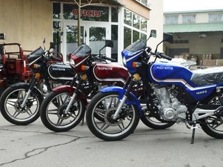 Wolf Motors Reducere -20%