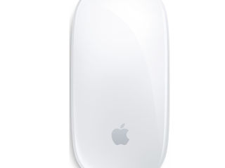 Apple Magic Mouse (MXK53ZMA) foto 0