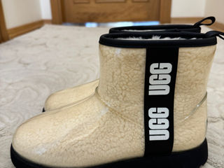 UGG оригинал foto 2