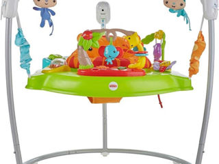 Fisher price jumperoo