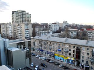 Puskin 44 Sun City- dormitor si salon ( спальня и гостиная) foto 4